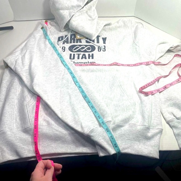 BNWT Champion Reverse Weave Park City Distressed Hoodie Unisex/Men’s M - Picture 6 of 16